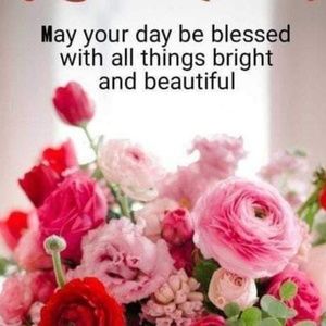 Meet your Posher, Hyacinth